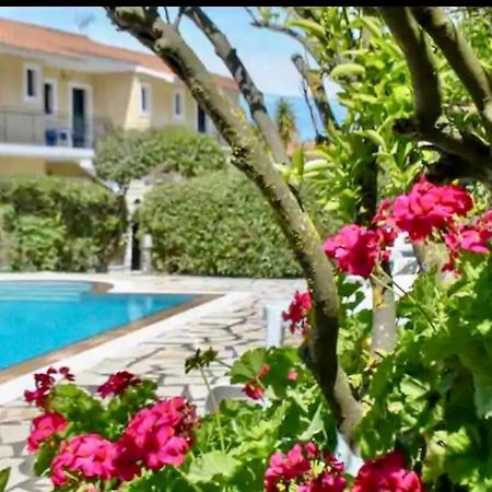 Lemon Tree Apartments B C Argostoli  Luaran gambar