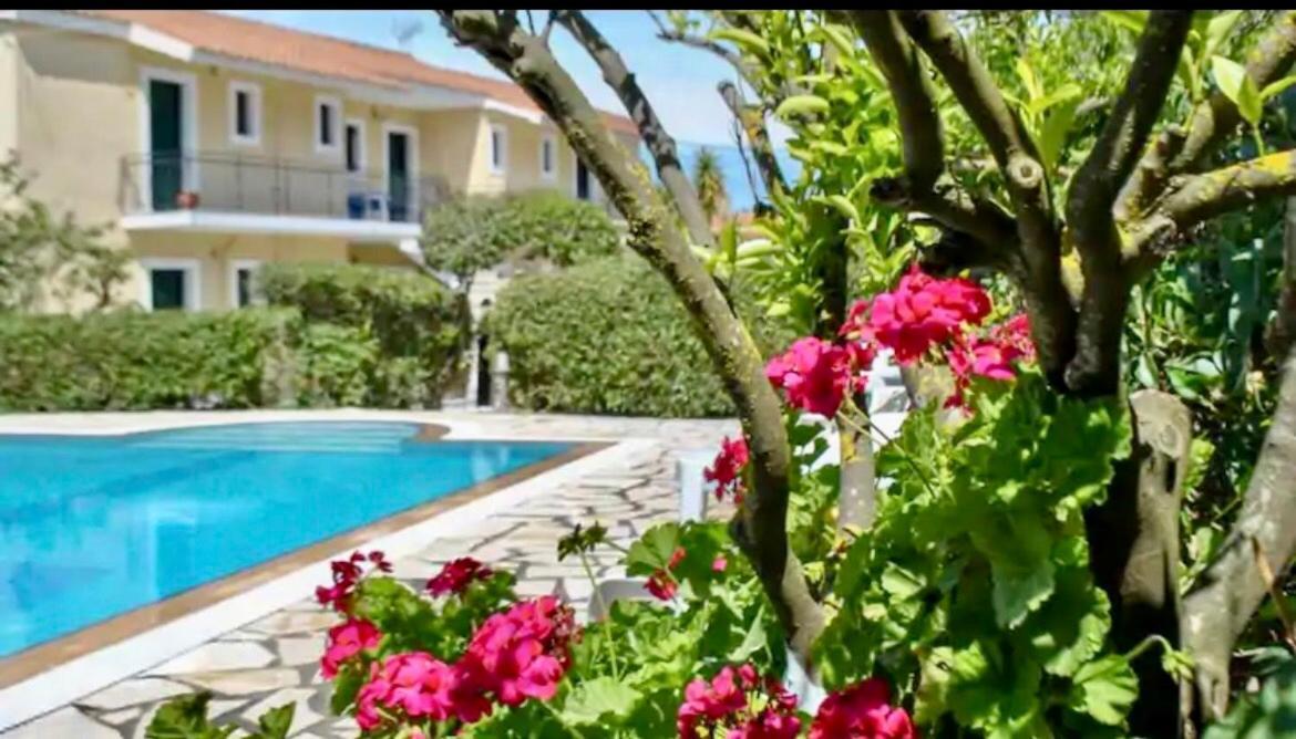 Lemon Tree Apartments B C Argostoli  Luaran gambar